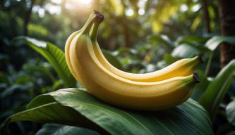 Warum ist die Banane krumm? Ein Blick auf die botanischen Ursachen