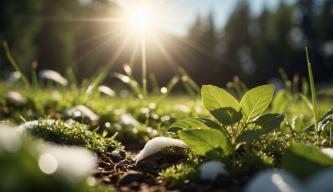 Warum ist es im Sommer warm und im Winter kalt? Die Erklärung der Jahreszeiten